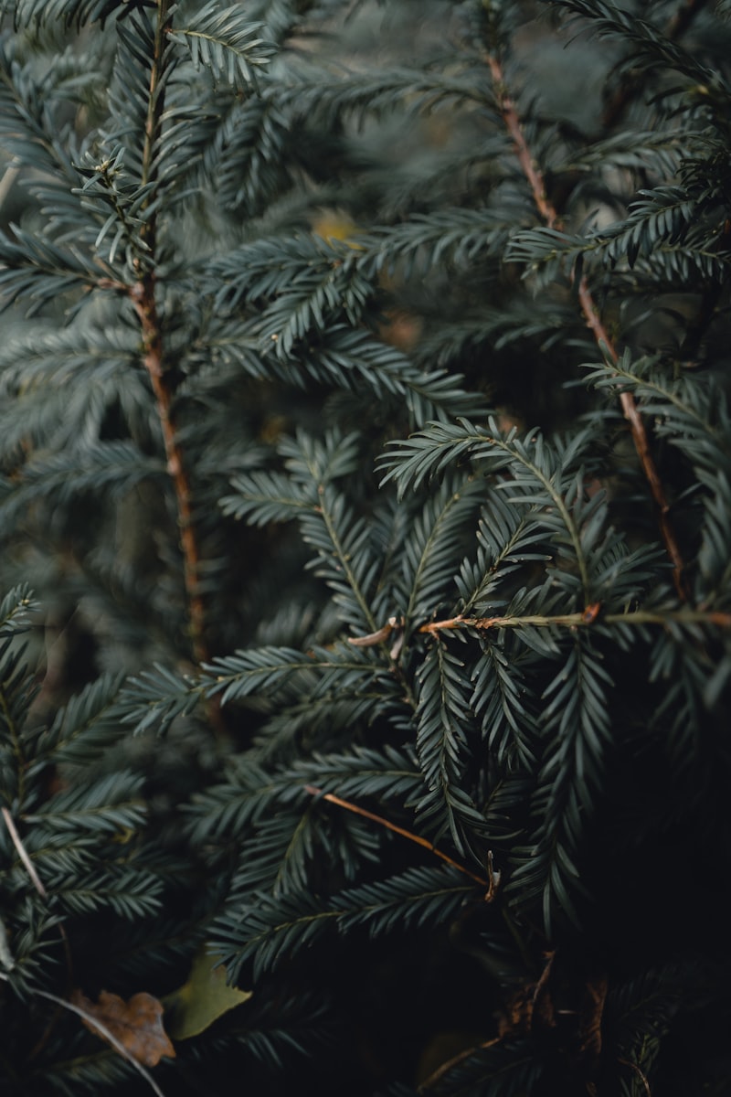 How Spectroscopy Catches Seafood Fraud: A Researcher's Perspective